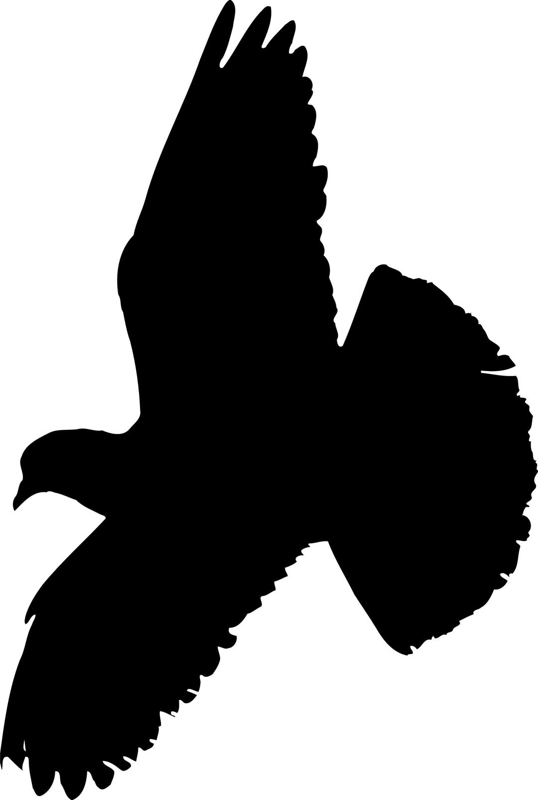 Pigeon (silhouette) png transparent
