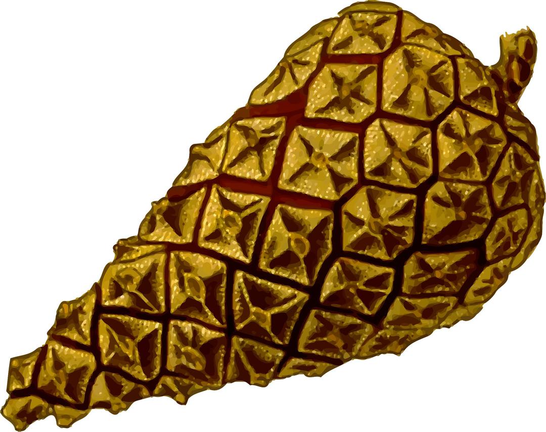 Pine cone 2 (detailed) png transparent