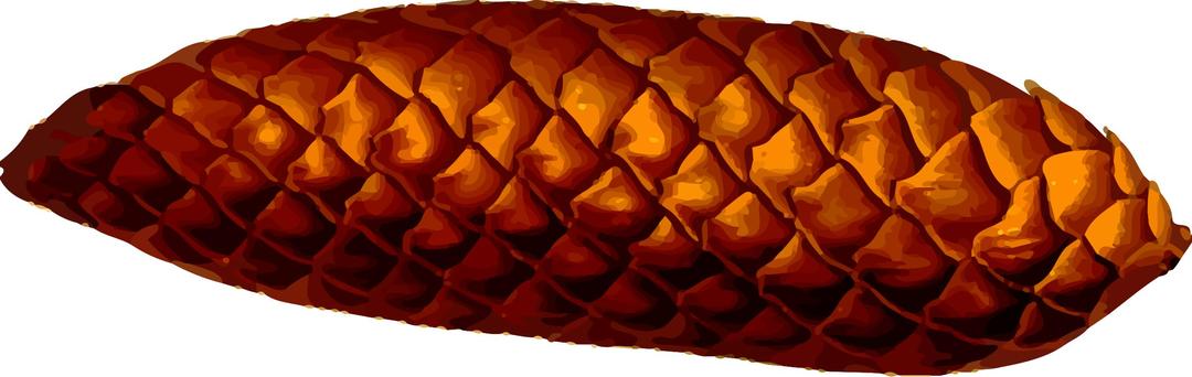 Pine cone (detailed) png transparent