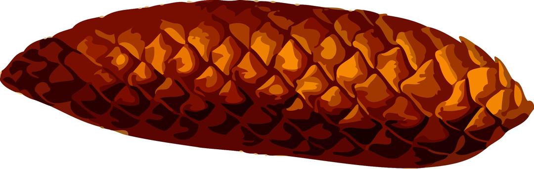 Pine cone (low resolution) png transparent