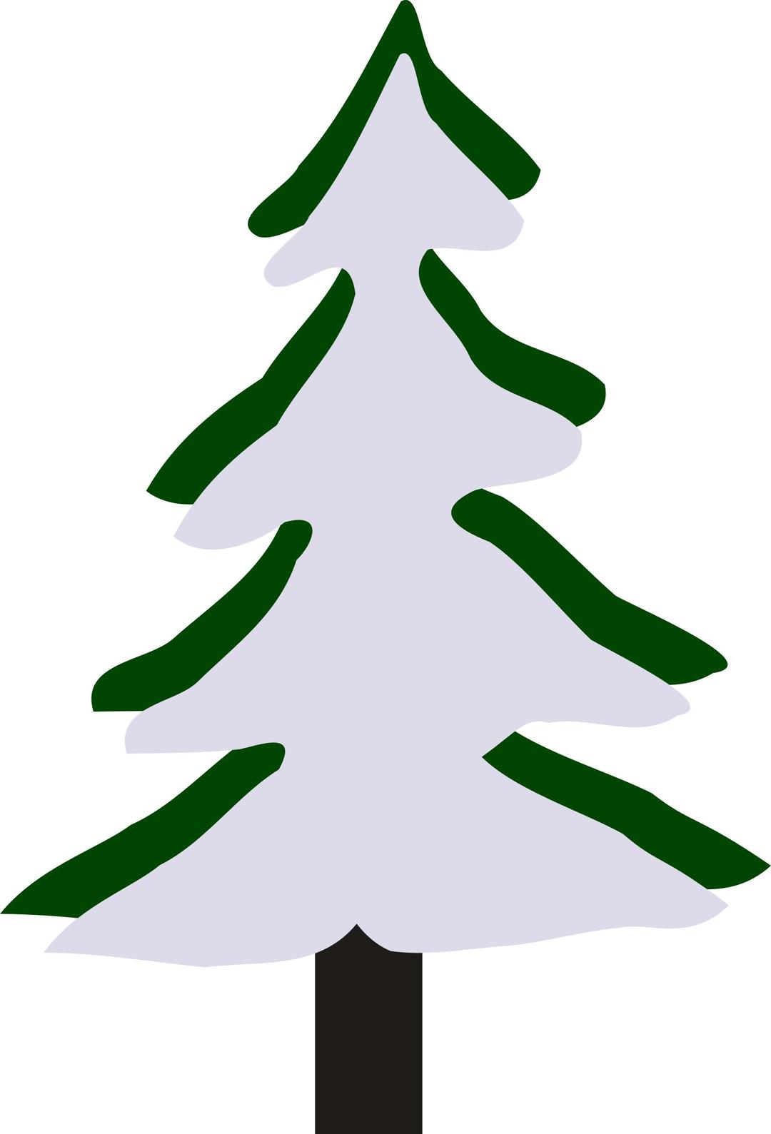 Pine in winter png transparent