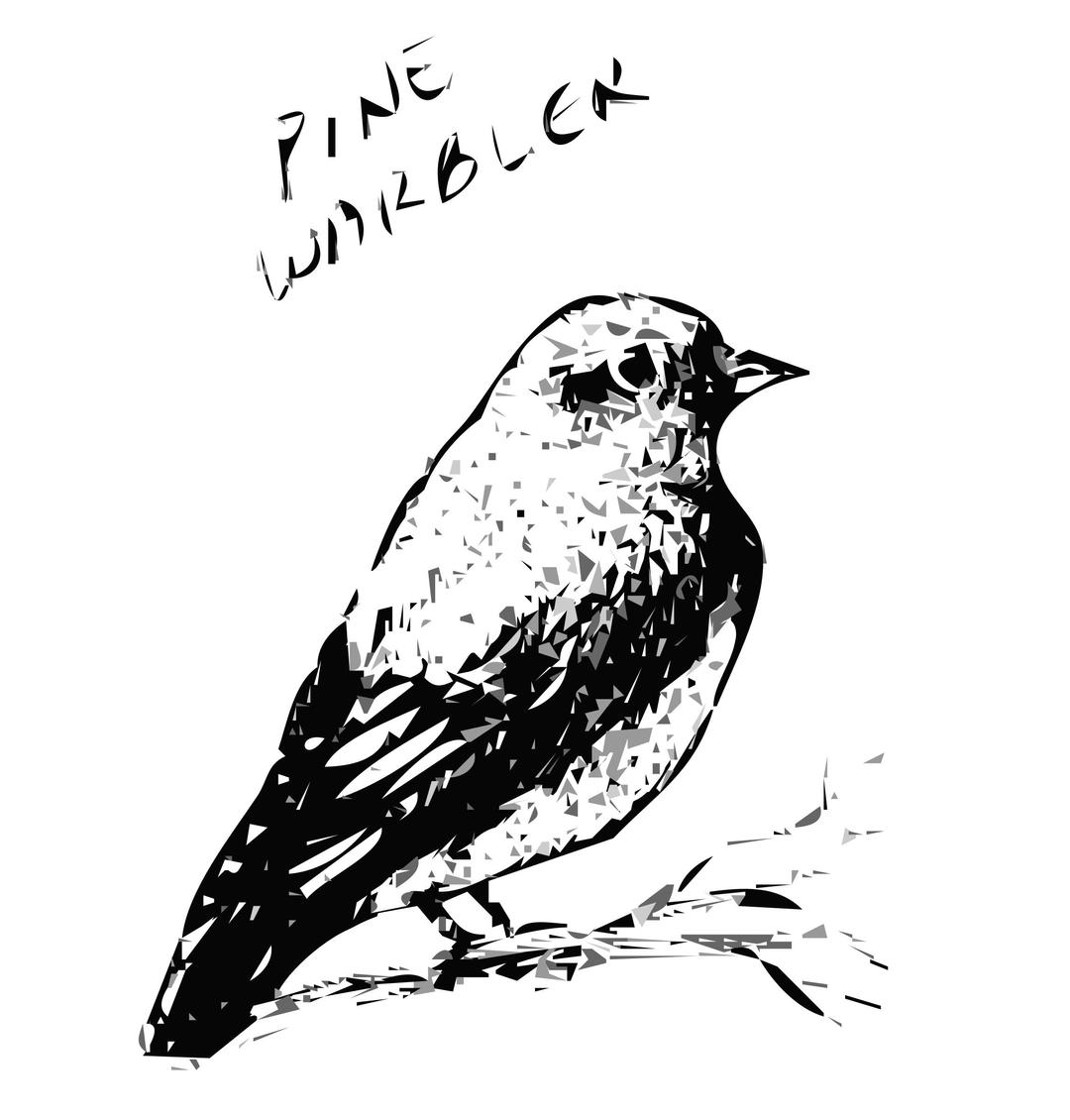 Pine Warbler Bird png transparent