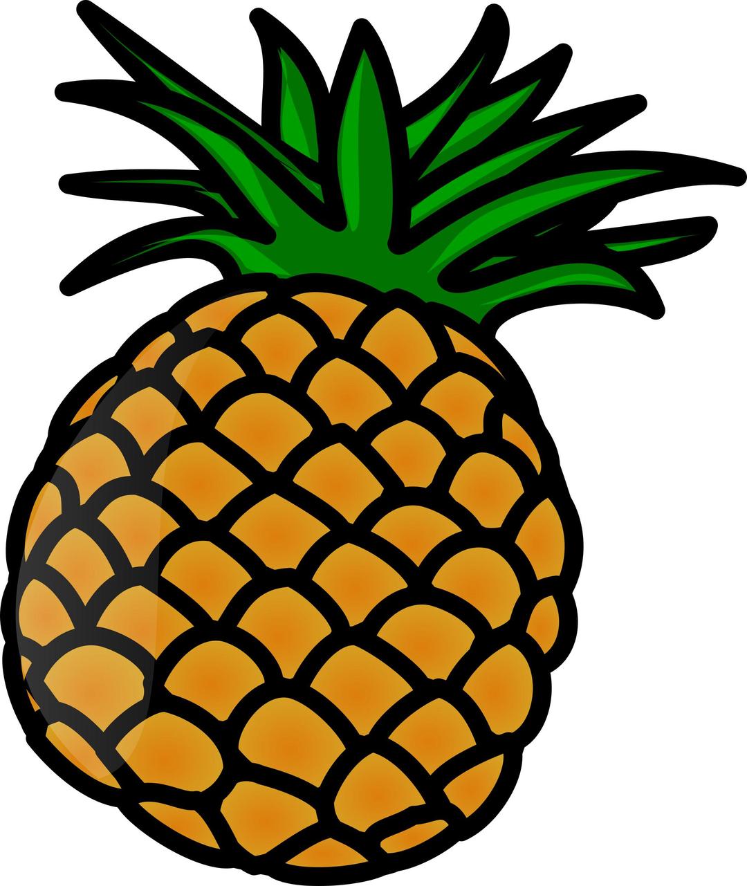 Pineapple png transparent