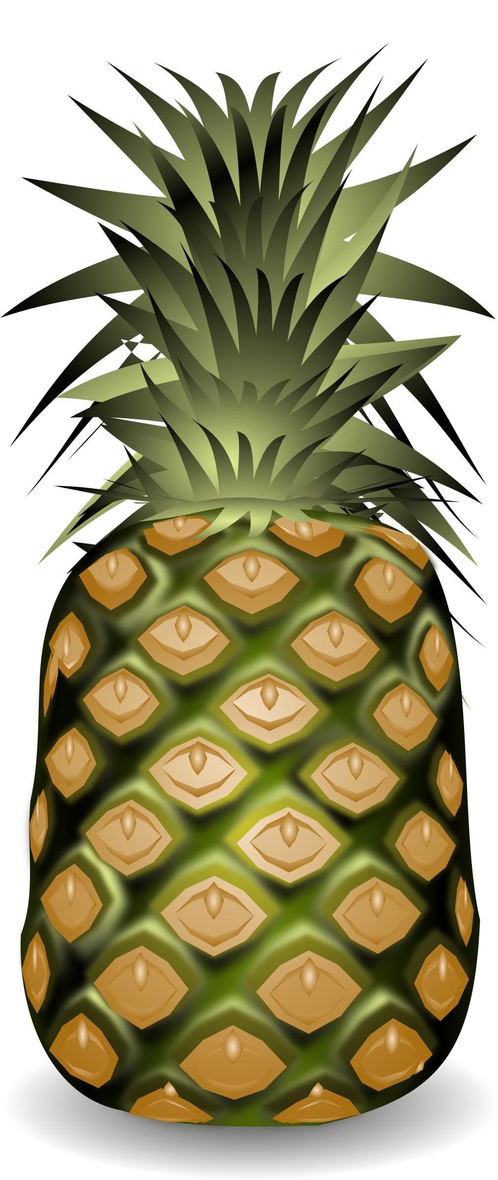 pineapple ananasas png transparent