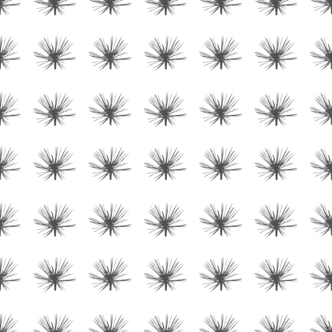 pinetree leaves seamless pattern png transparent