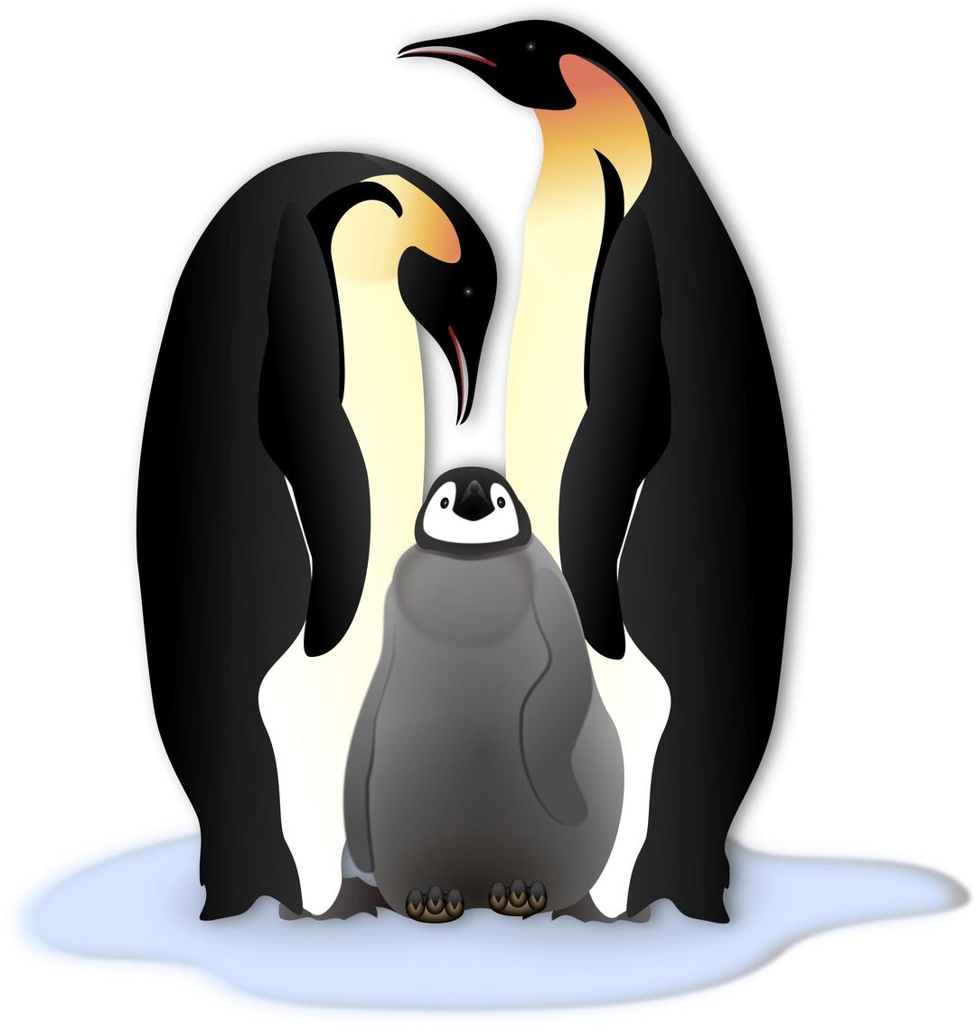 Pinguin Familie png transparent
