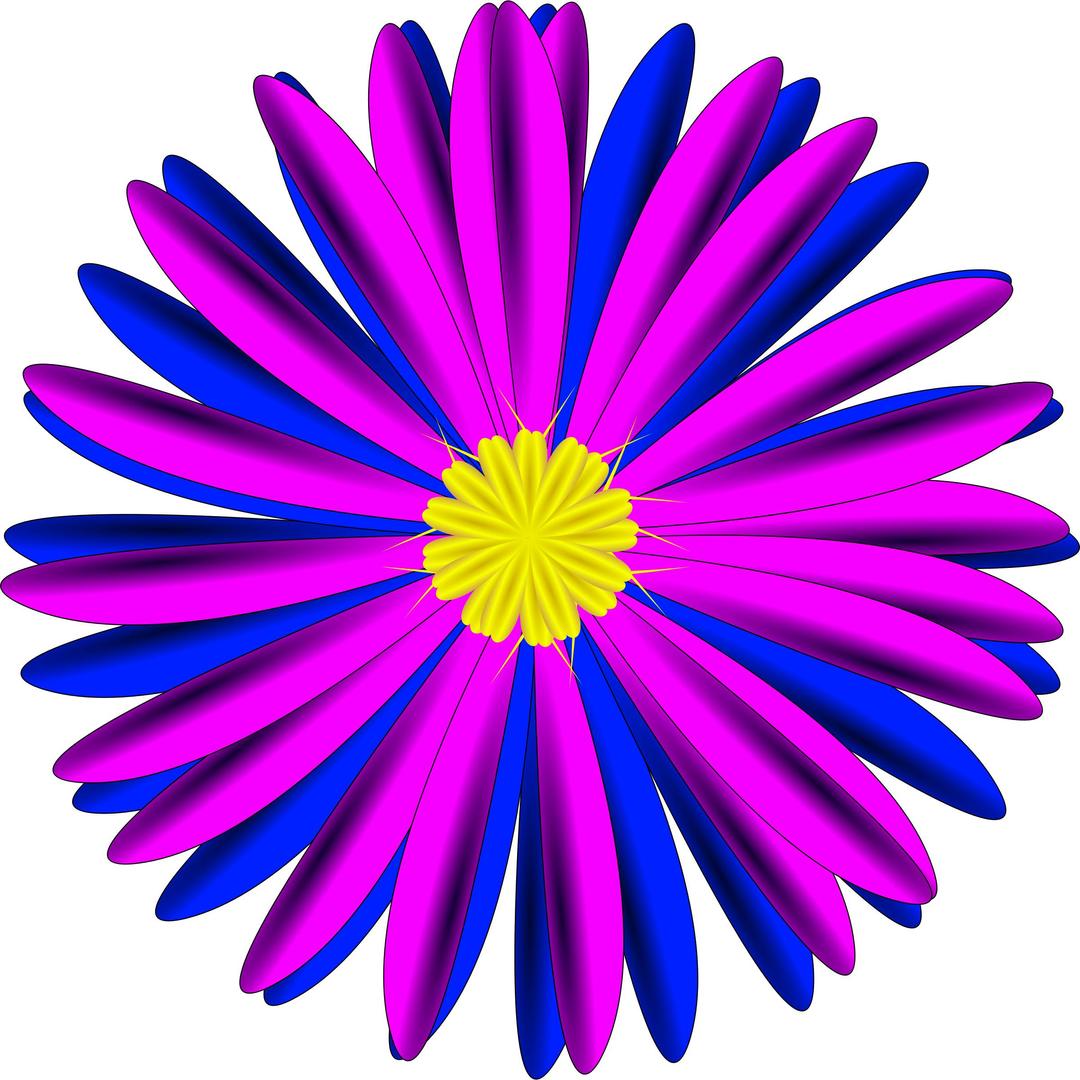 Pink and Blue Flower png transparent