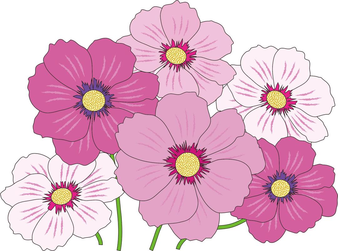 Pink And White Flowers png transparent
