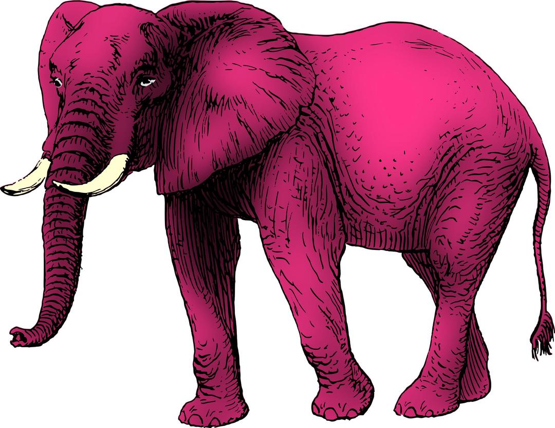 Pink elephant png transparent