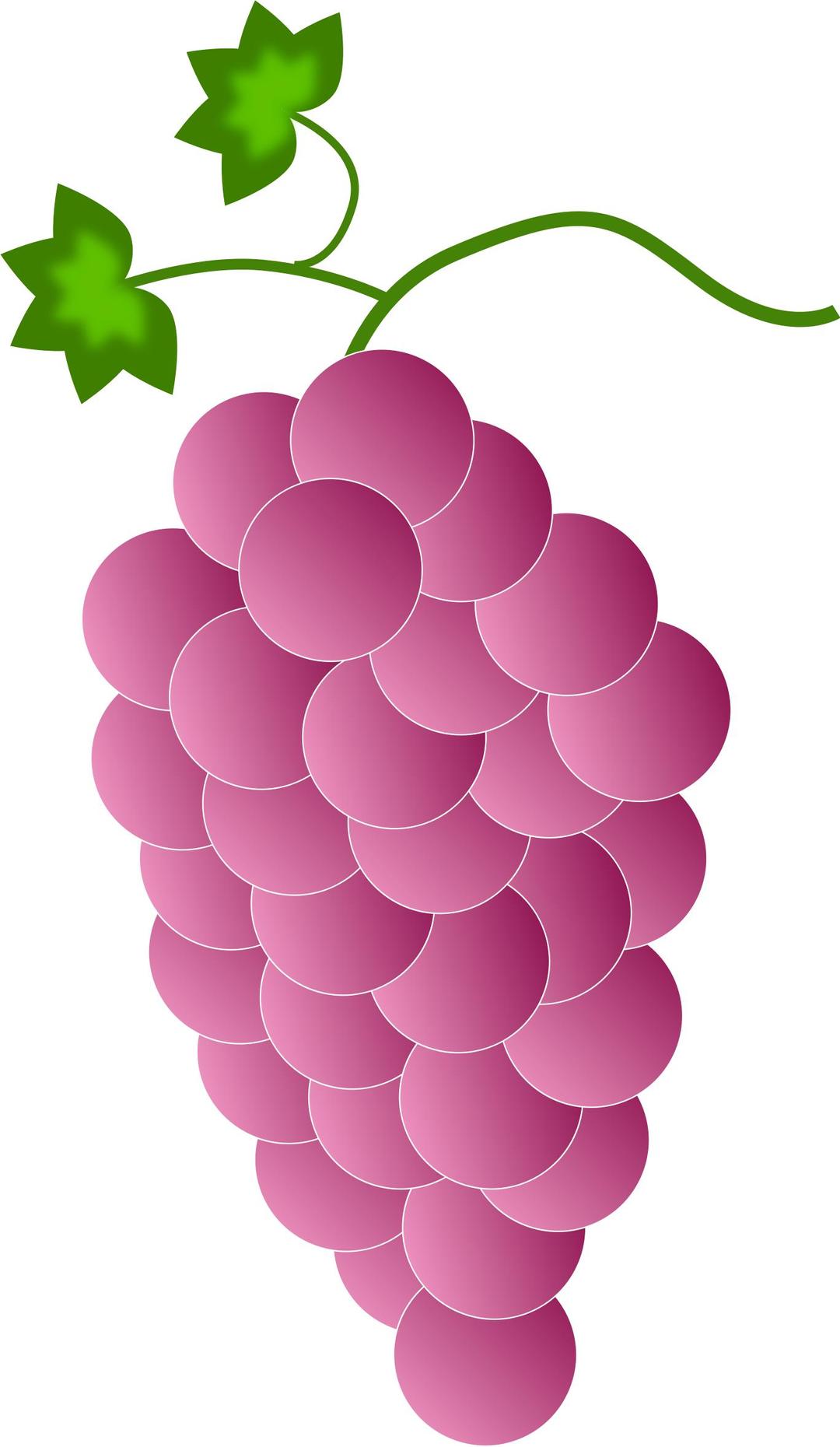 pink grapes png transparent