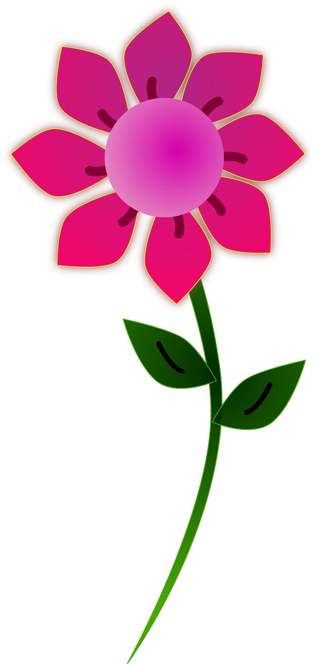 Pink Sun Flower png transparent