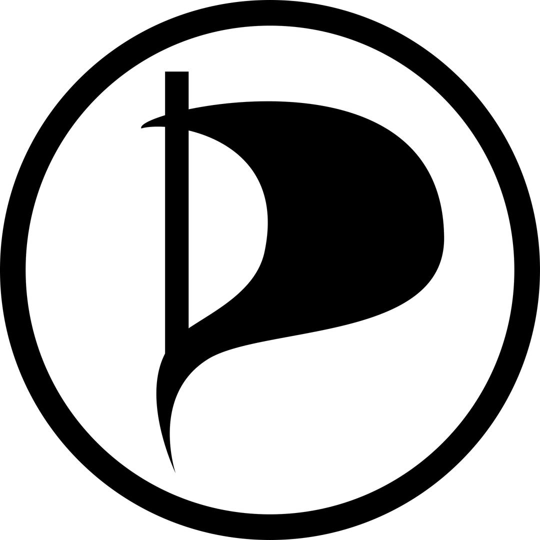 pirate party flag png transparent