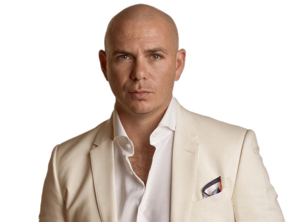 Pitbull White Outfit png transparent