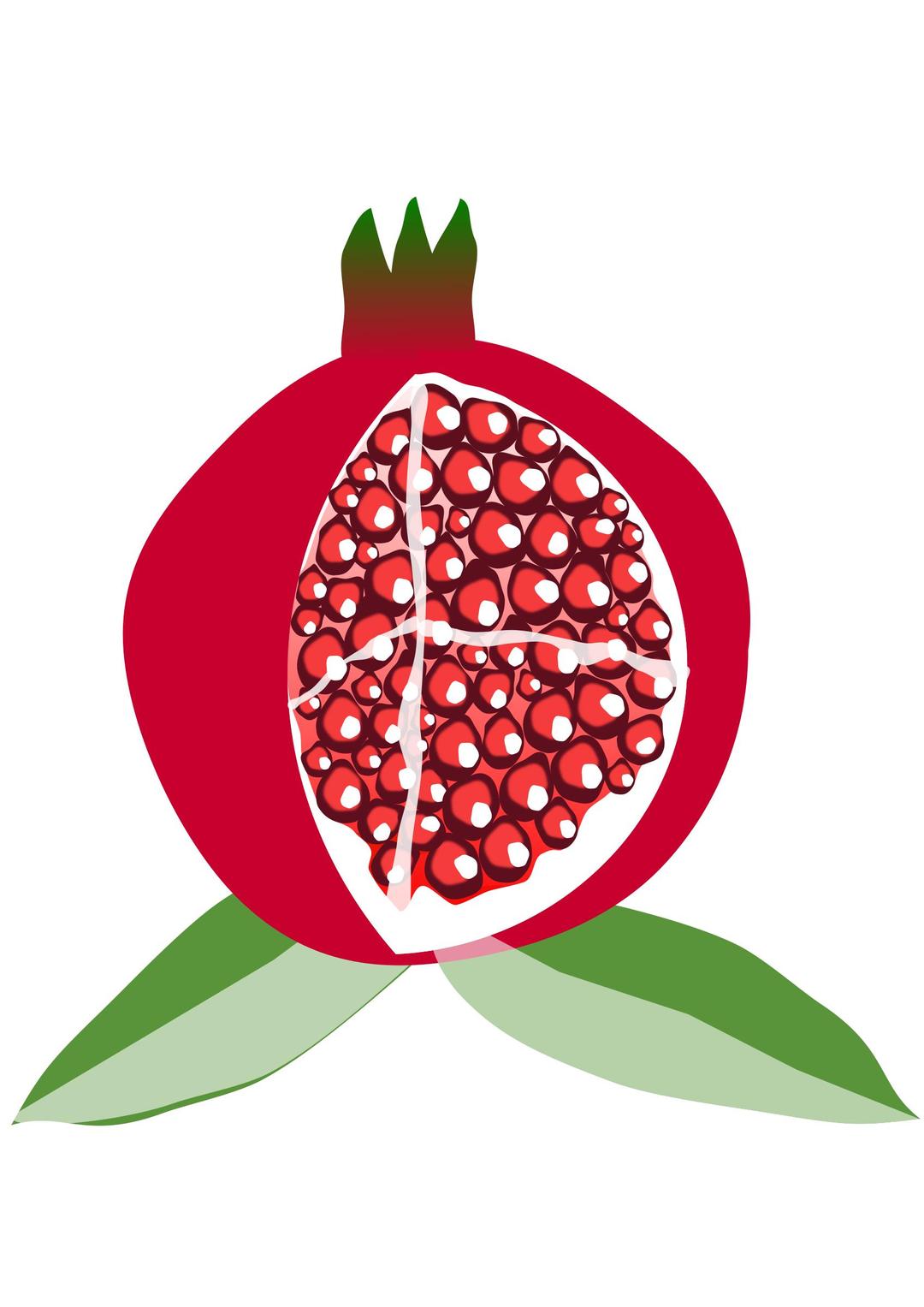 pomegranate fruit png transparent