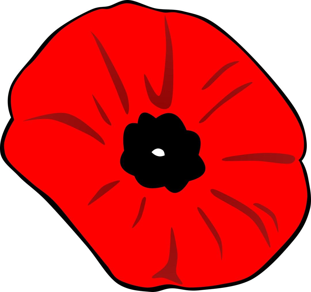 Poppy (Remembrance Day) png transparent