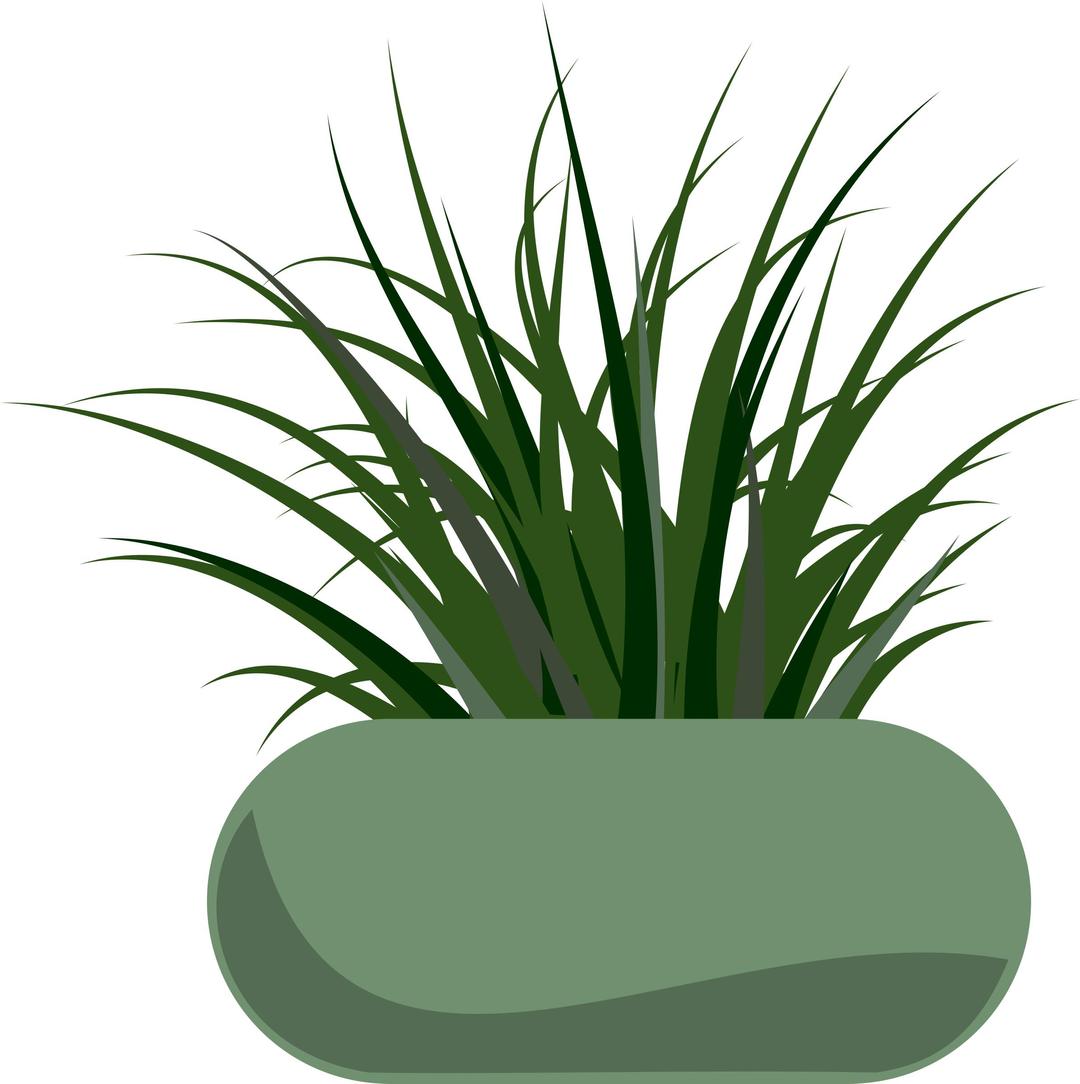 Potted Grass png transparent