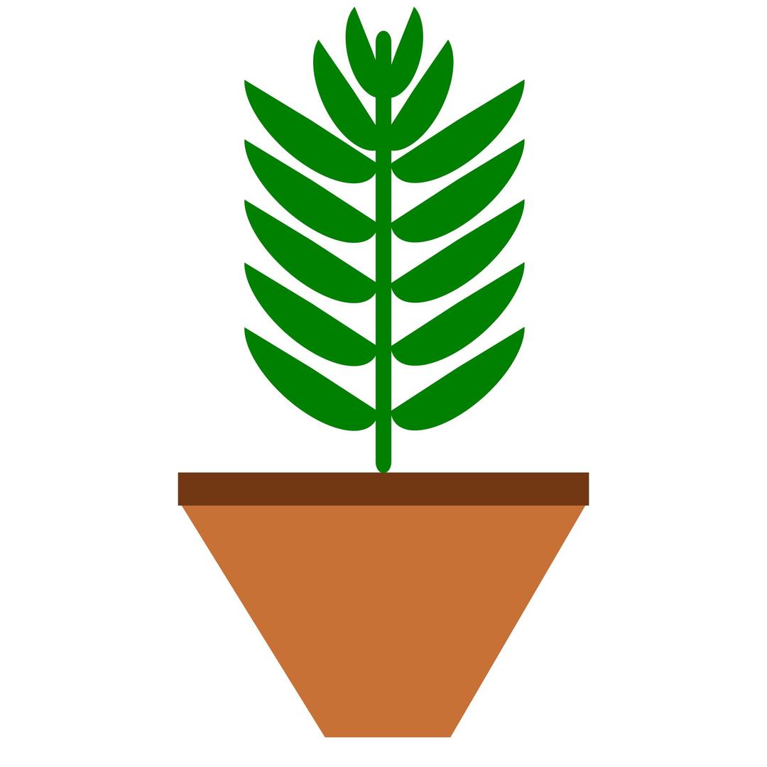 POTTED PLANT- Leaves only-3-color-with-space-on-pot png transparent