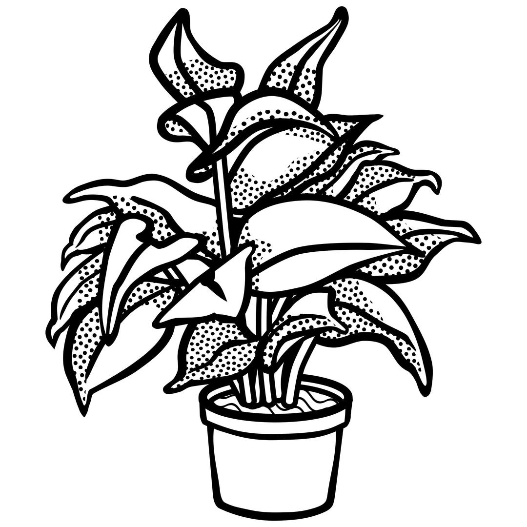 potted plant - lineart png transparent