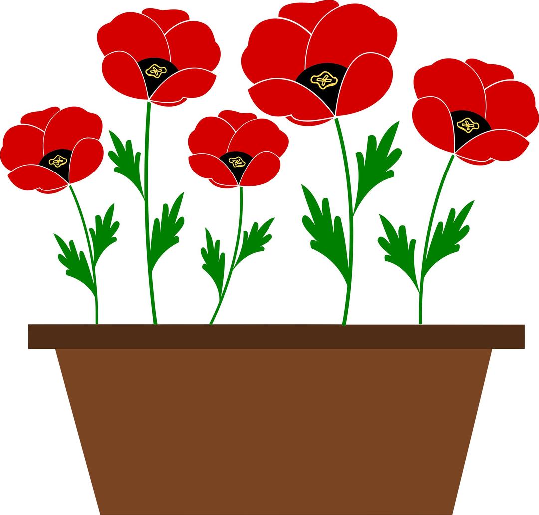 Potted poppies vectorized png transparent