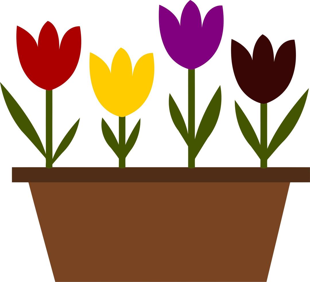Potted tulips vectorized png transparent