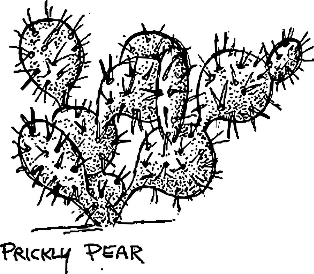 Prickly Pear Cactus png transparent