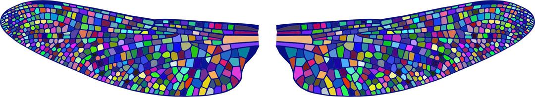 Prismatic Dragonfly Wings png transparent