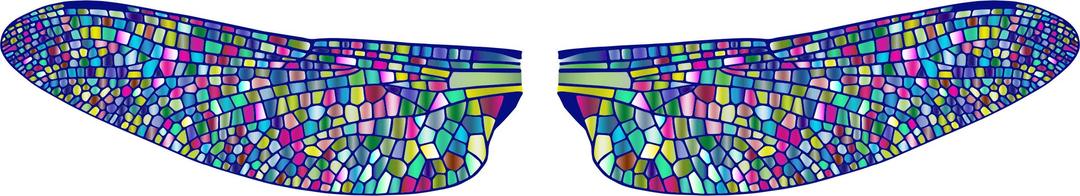 Prismatic Dragonfly Wings 4 png transparent