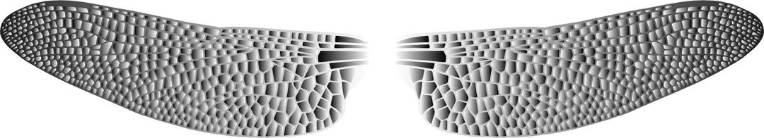 Prismatic Dragonfly Wings 5 png transparent