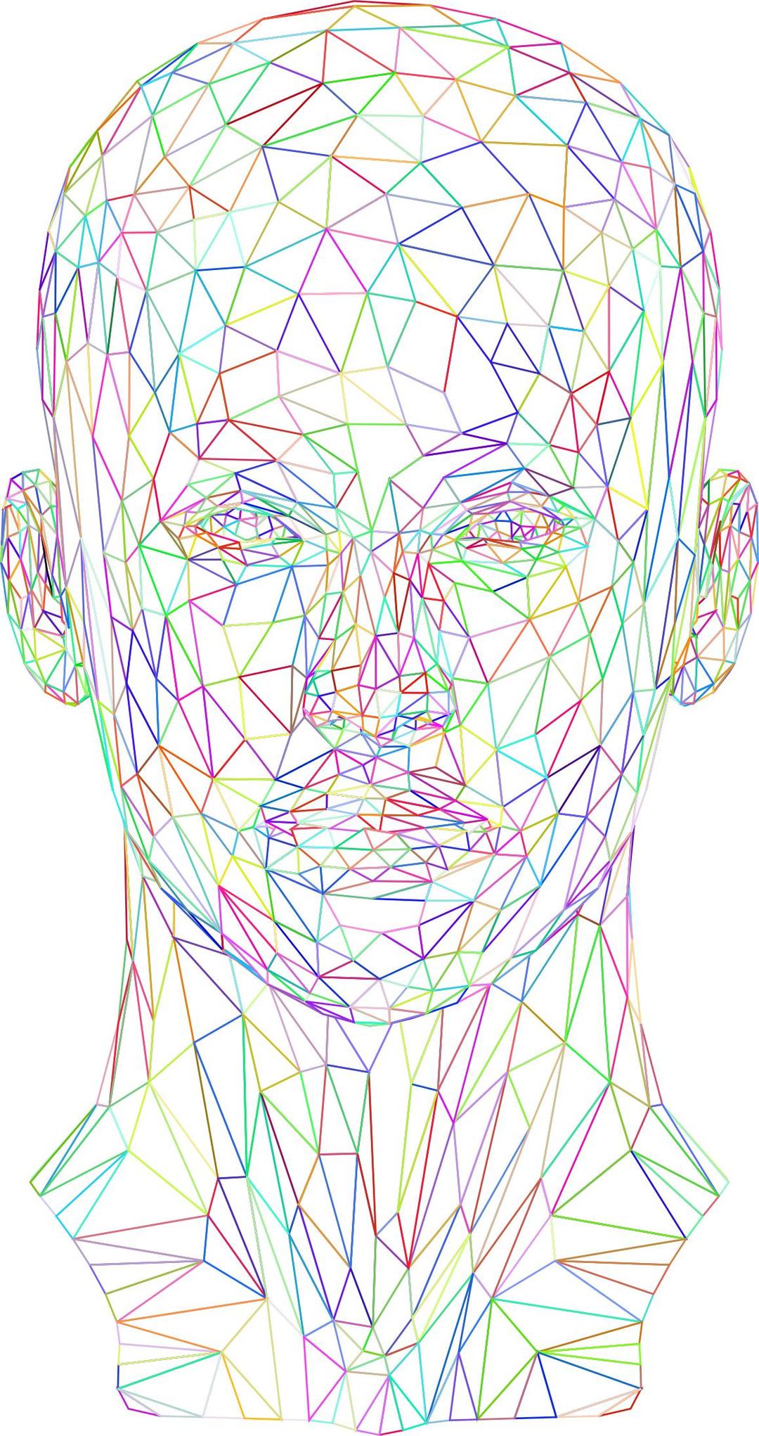Prismatic Low Poly Female Head Wireframe No Background png transparent