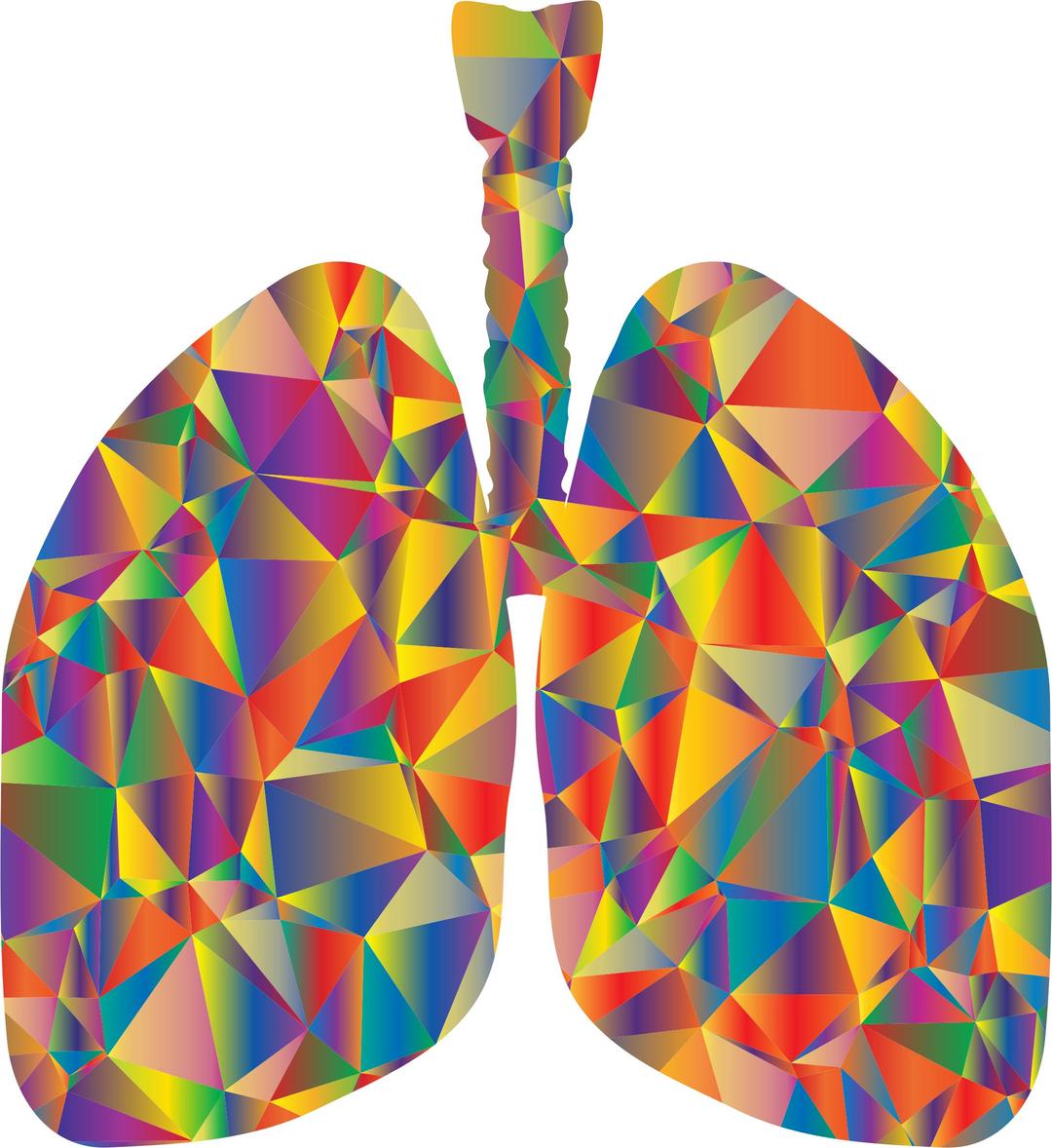 Prismatic Low Poly Lungs Silhouette png transparent