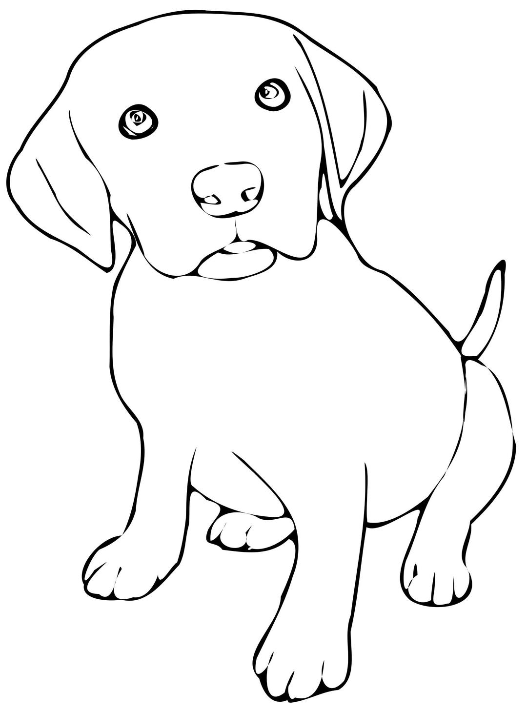 Puppy Black and White png transparent