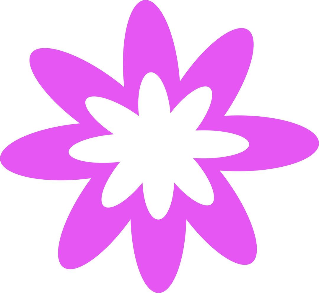 Purple Burst Flower png transparent