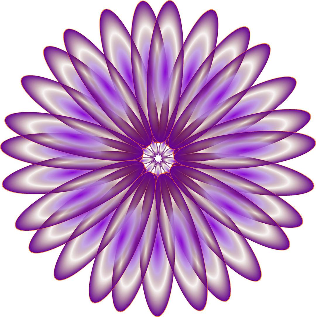 Purple Daisy png transparent
