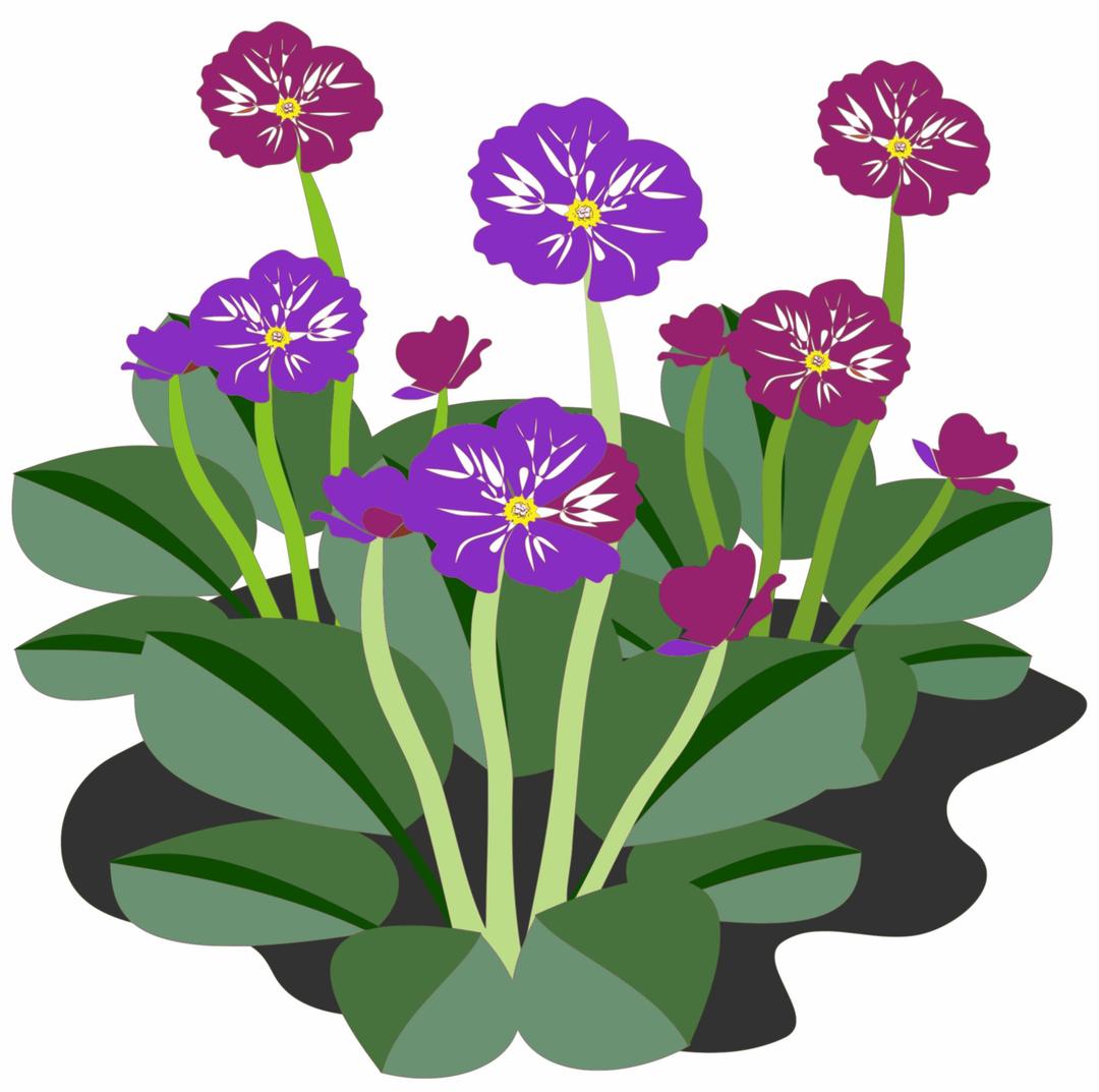 Purple Flowers png transparent