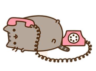 Pusheen on the Phone png transparent