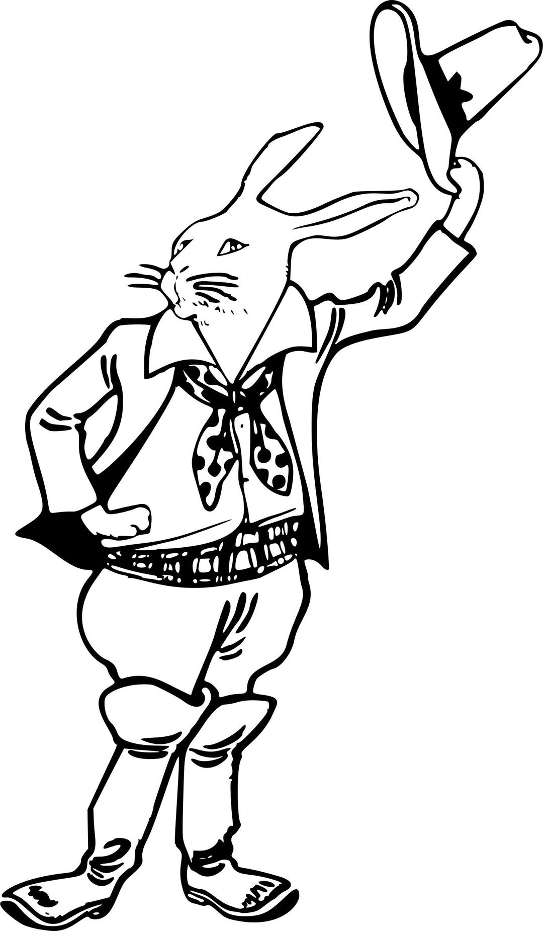Rabbit Cowboy No Cigar png transparent