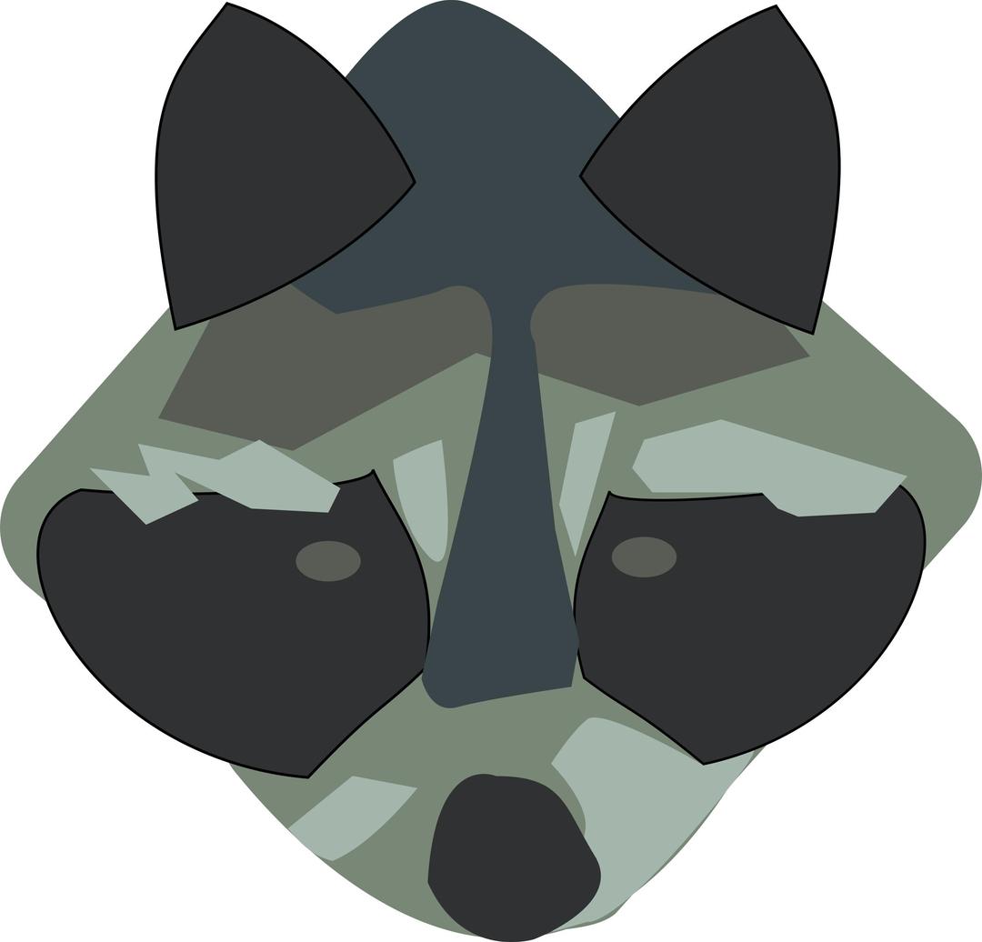 Raccoon png transparent