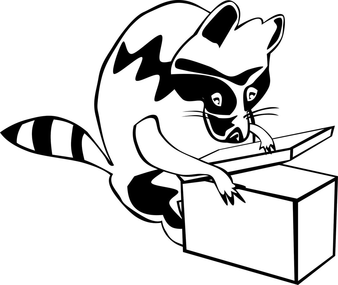 Raccoon opening box png transparent