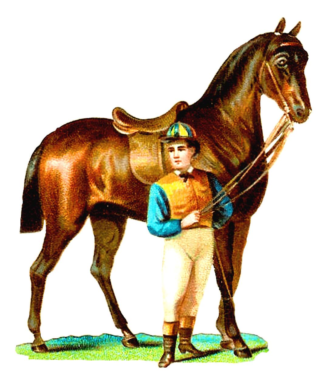 Race Horse and Jockey Vintage Clipart png transparent