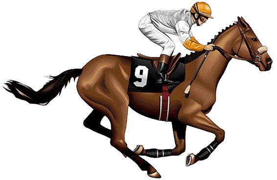 Race Horse Side View png transparent