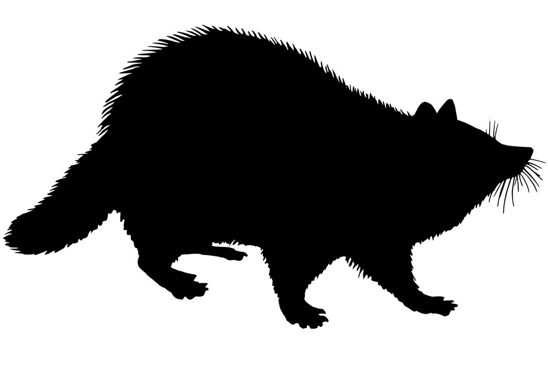 Racoon Silhouette png transparent