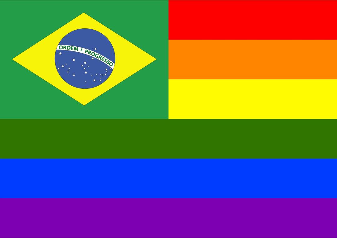 Rainbow Flag Brazil png transparent