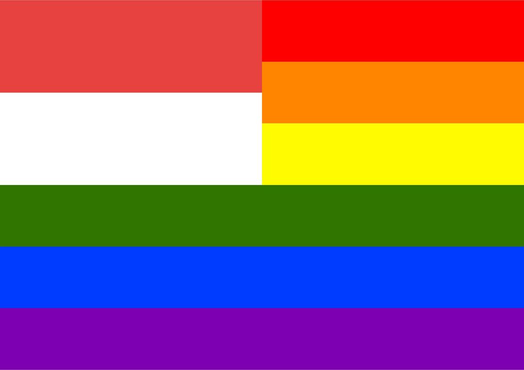 Rainbow Flag Solothurn png transparent