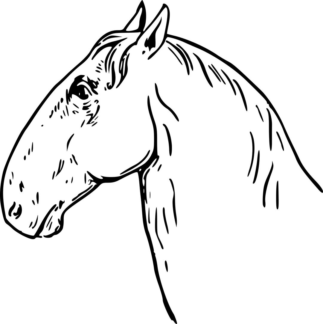 Ram-headed horsehead png transparent
