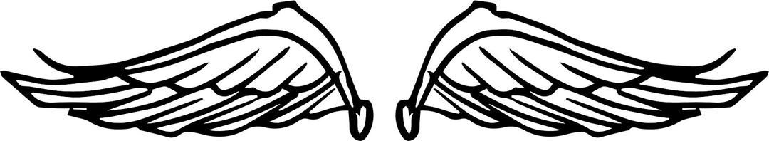 Raseone Wings Doodle png transparent