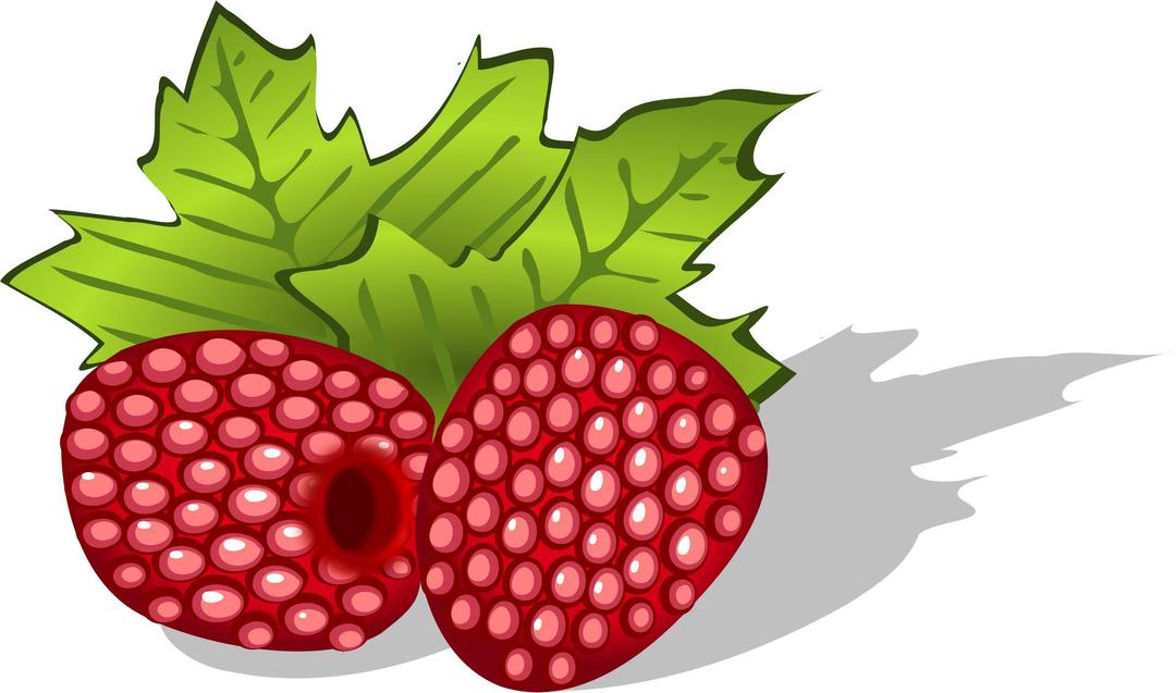 raspberries, avietes, berries, uogos, food png transparent