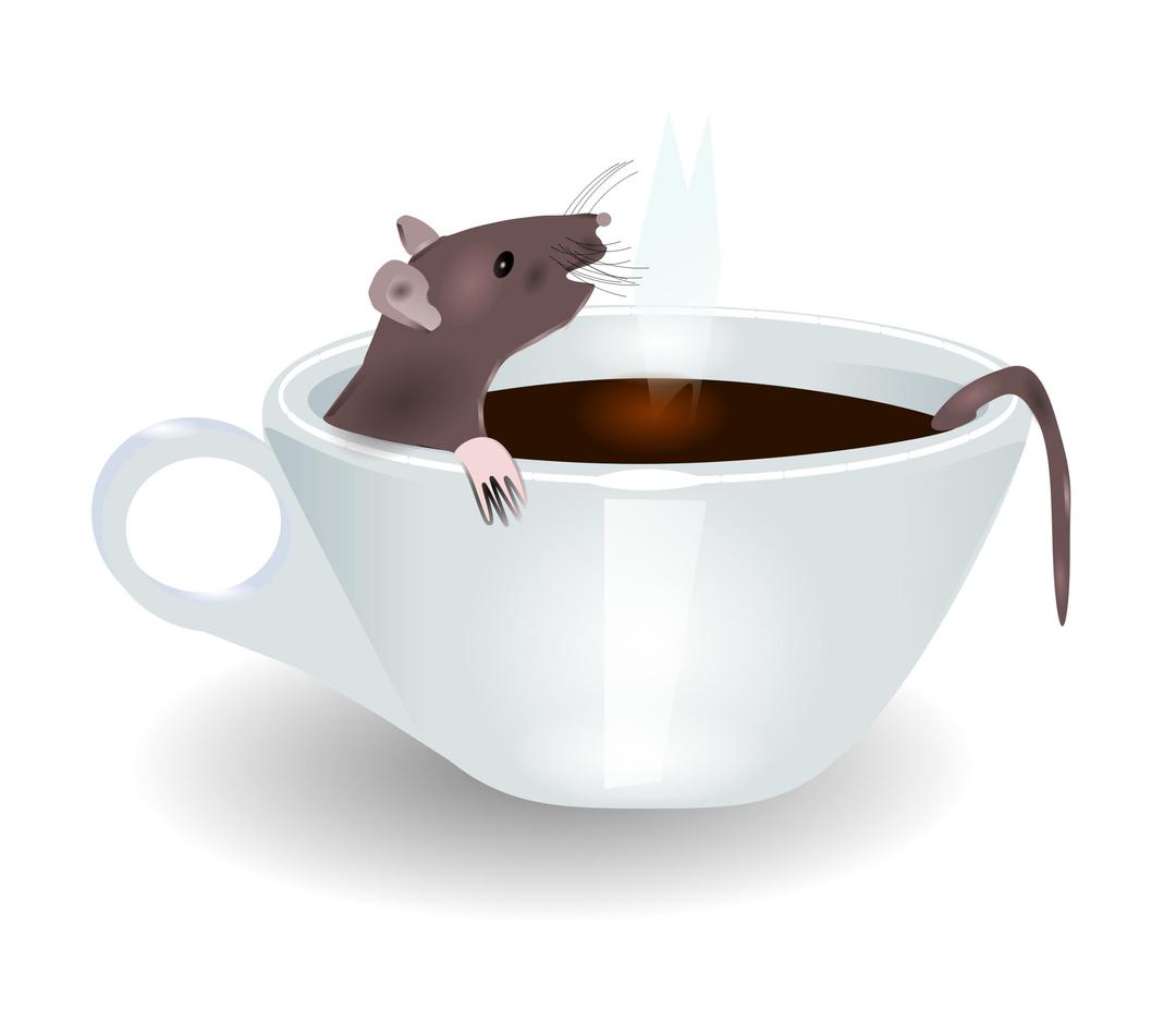 rat in coffee png transparent