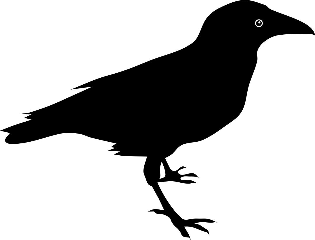 Raven by Rones png transparent