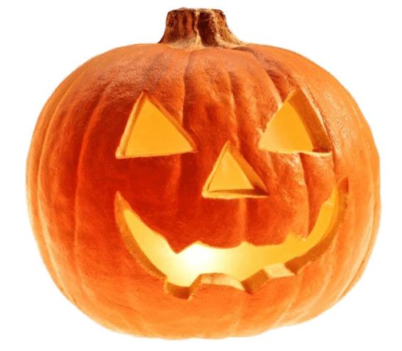Real Pumpkin Halloween png transparent