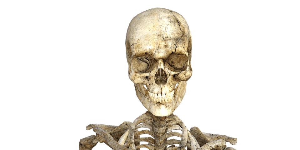 Real Skeleton Halloween png transparent